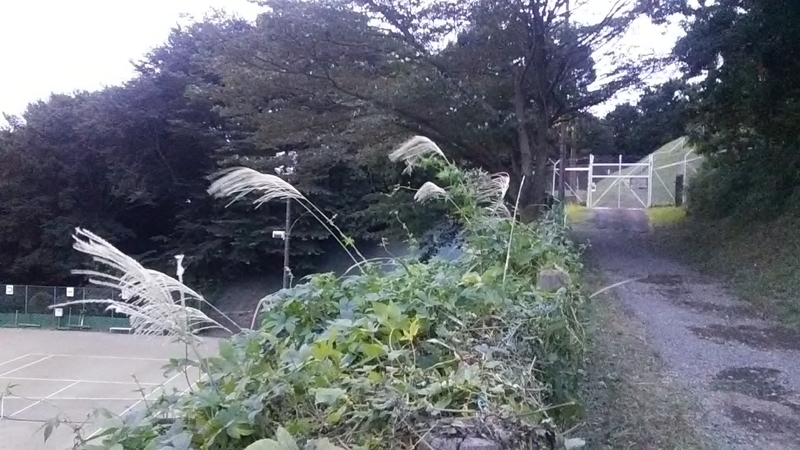 f:id:stantsiya_iriya:20200929180613j:plain