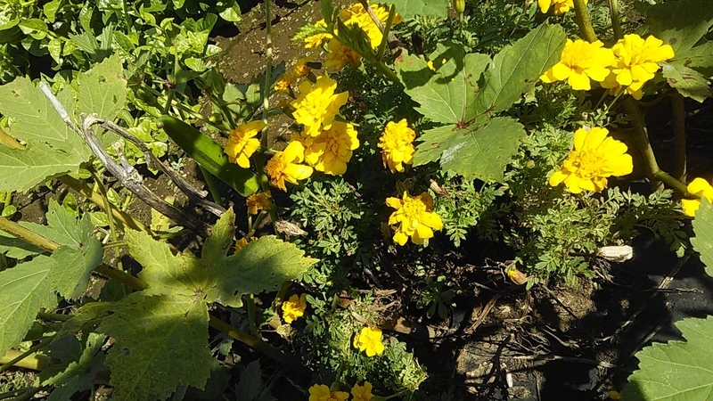 f:id:stantsiya_iriya:20201012175547j:plain f:id:stantsiya_iriya:20201012175547j:plain