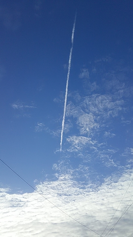 f:id:stantsiya_iriya:20201017053849j:plain f:id:stantsiya_iriya:20201017053849j:plain
