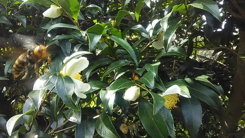 f:id:stantsiya_iriya:20201022192158j:plain