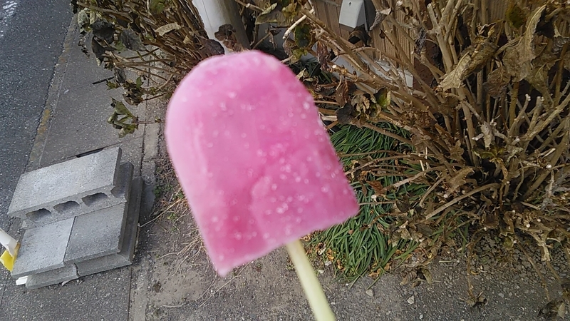 f:id:stantsiya_iriya:20201220223719j:plain