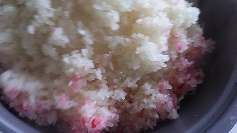 f:id:stantsiya_iriya:20210302182518j:plain