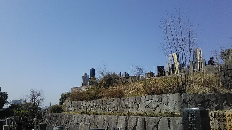 f:id:stantsiya_iriya:20210318194417j:plain