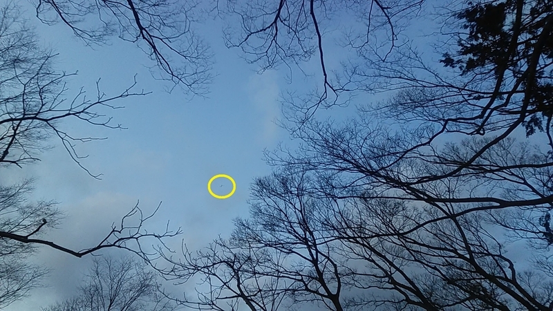 f:id:stantsiya_iriya:20210318194643j:plain