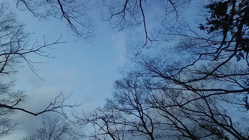 f:id:stantsiya_iriya:20210318194651j:plain