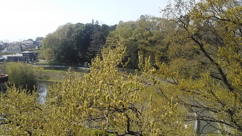 f:id:stantsiya_iriya:20210327170859j:plain