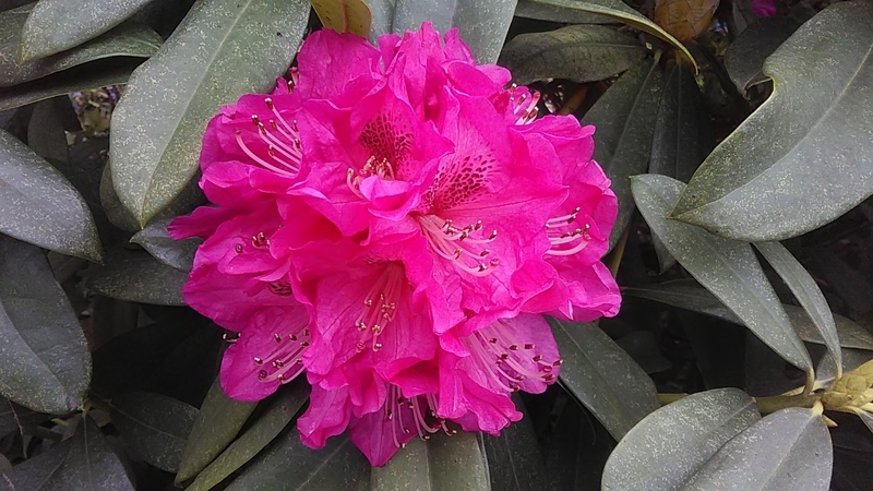 f:id:stantsiya_iriya:20210327192310j:plain