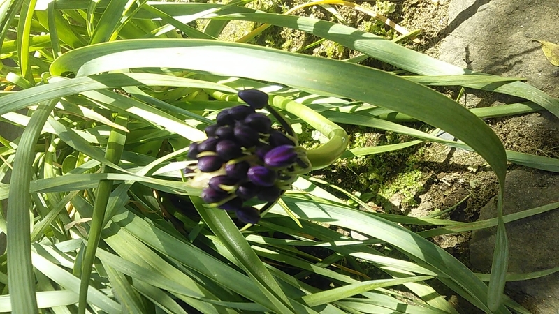 f:id:stantsiya_iriya:20210420173406j:plain