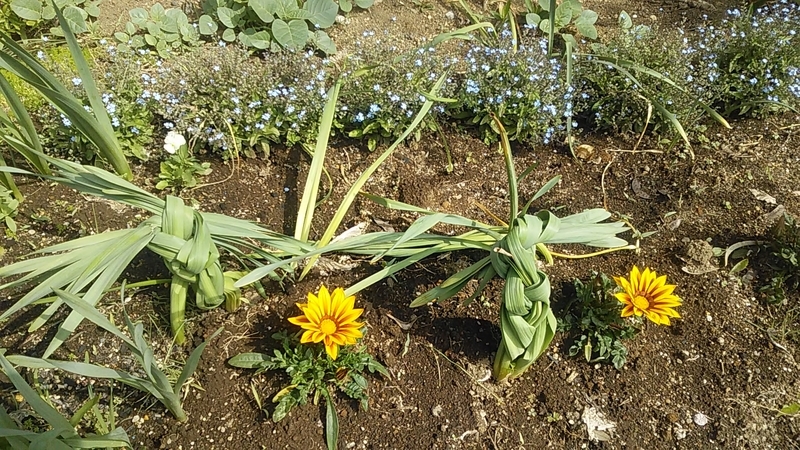 f:id:stantsiya_iriya:20210502061920j:plain