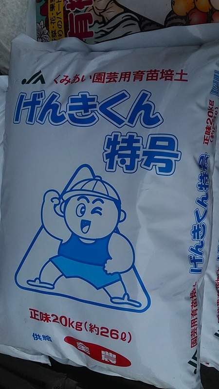 f:id:stantsiya_iriya:20210521003552j:plain