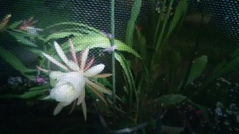 f:id:stantsiya_iriya:20210601073643j:plain