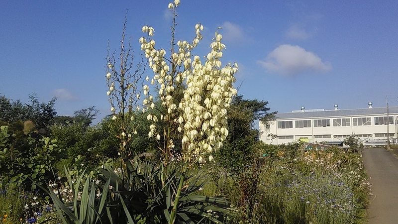 f:id:stantsiya_iriya:20210601210108j:plain