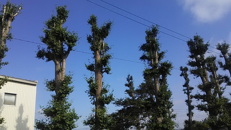 f:id:stantsiya_iriya:20210601210118j:plain