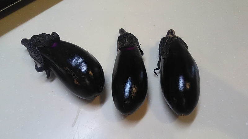 f:id:stantsiya_iriya:20210601211146j:plain