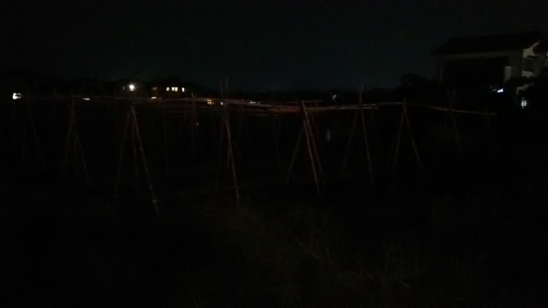 f:id:stantsiya_iriya:20210608214612j:plain