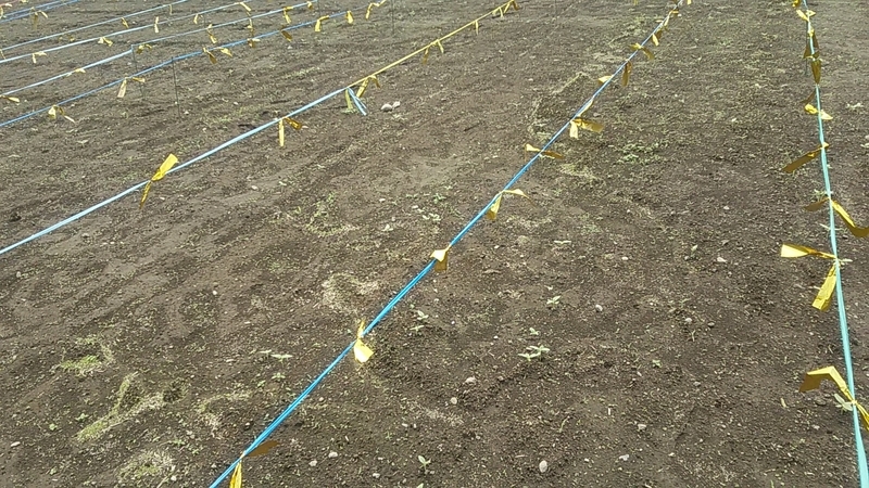 f:id:stantsiya_iriya:20210711201302j:plain