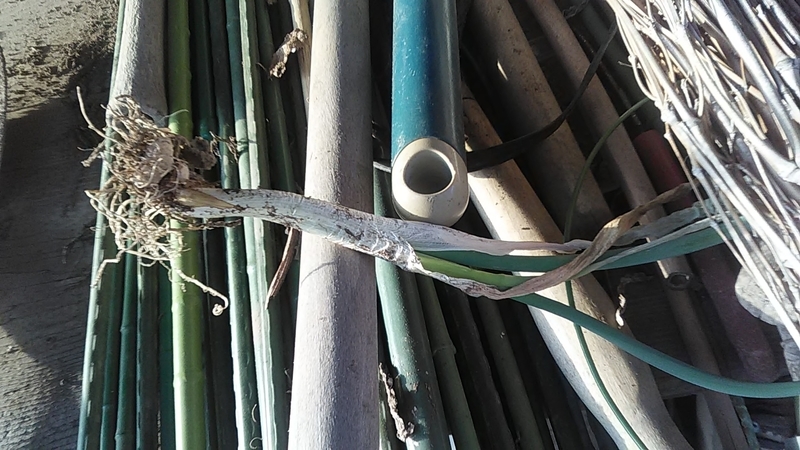 f:id:stantsiya_iriya:20210913183234j:plain