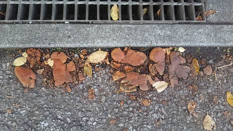 f:id:stantsiya_iriya:20220103090011j:plain