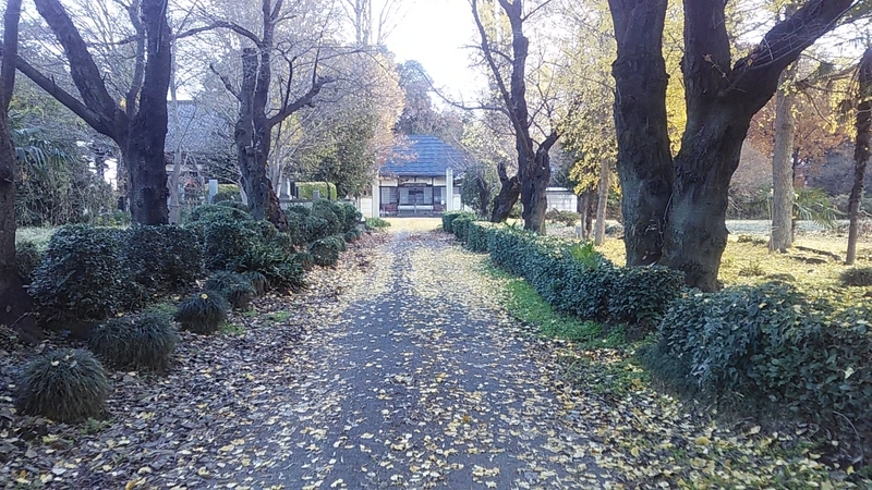 f:id:stantsiya_iriya:20220103090027j:plain