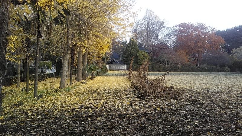 f:id:stantsiya_iriya:20220103090032j:plain