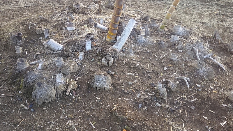 f:id:stantsiya_iriya:20220103090038j:plain