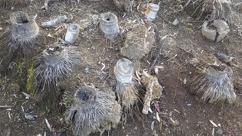 f:id:stantsiya_iriya:20220103090043j:plain