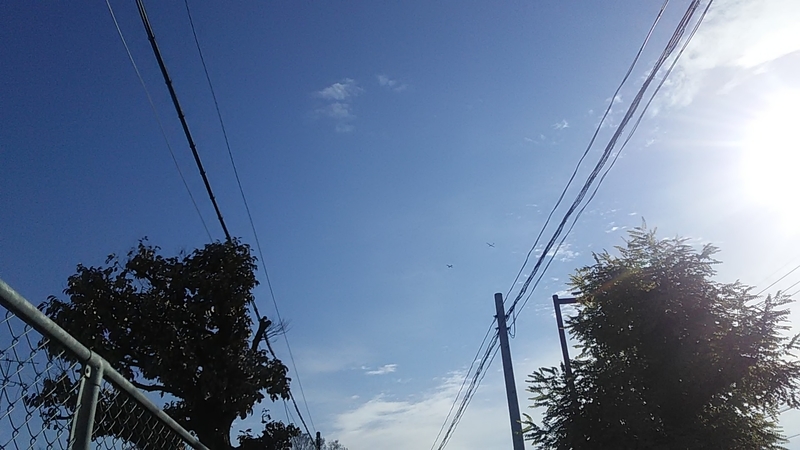 f:id:stantsiya_iriya:20220103090237j:plain