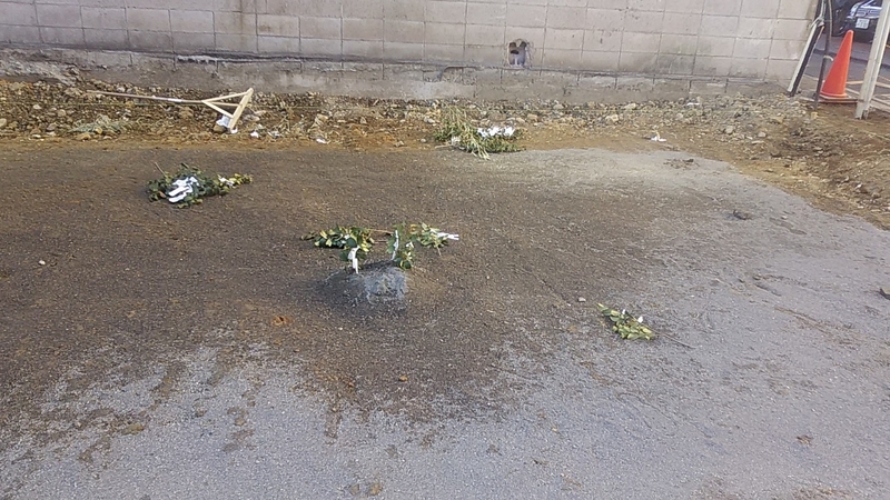 f:id:stantsiya_iriya:20220109201959j:plain