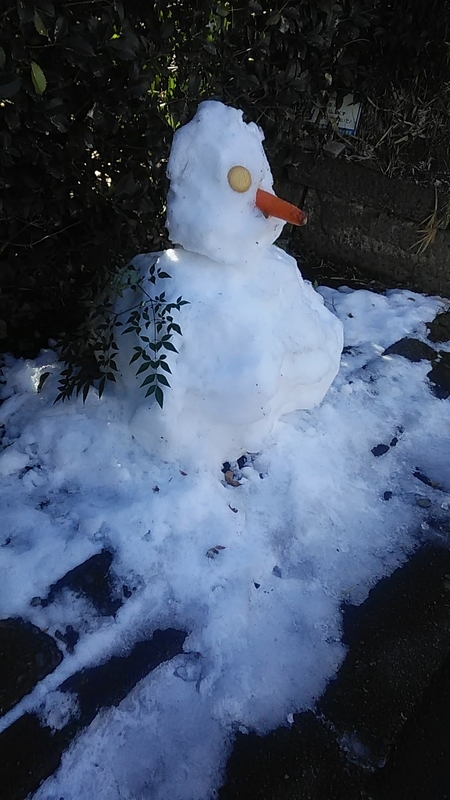 f:id:stantsiya_iriya:20220109202016j:plain