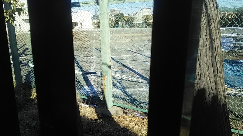 f:id:stantsiya_iriya:20220109202436j:plain