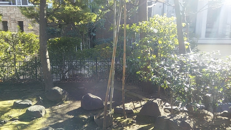 f:id:stantsiya_iriya:20220109202501j:plain