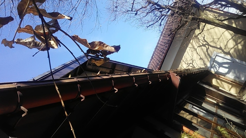 f:id:stantsiya_iriya:20220109202514j:plain