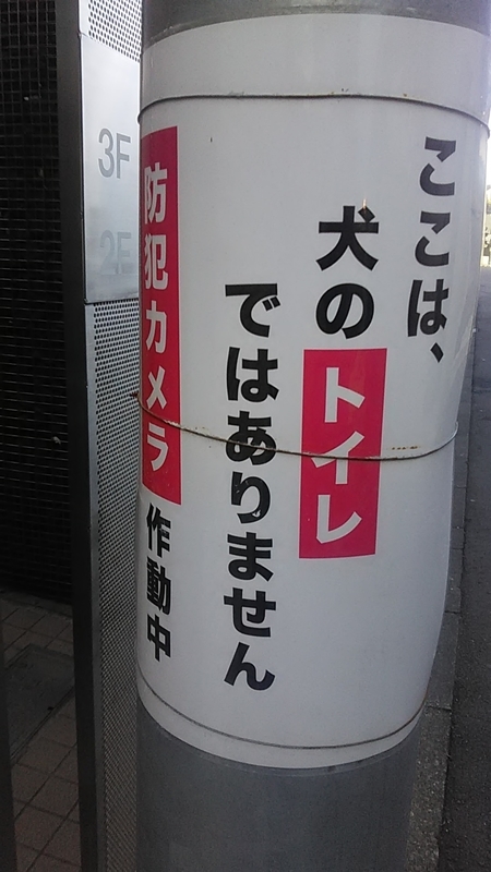 f:id:stantsiya_iriya:20220109202614j:plain