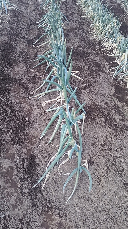 f:id:stantsiya_iriya:20220109202821j:plain