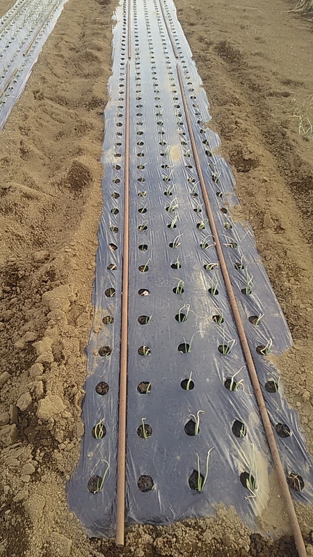 f:id:stantsiya_iriya:20220109202827j:plain