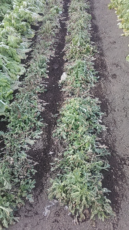 f:id:stantsiya_iriya:20220109202834j:plain