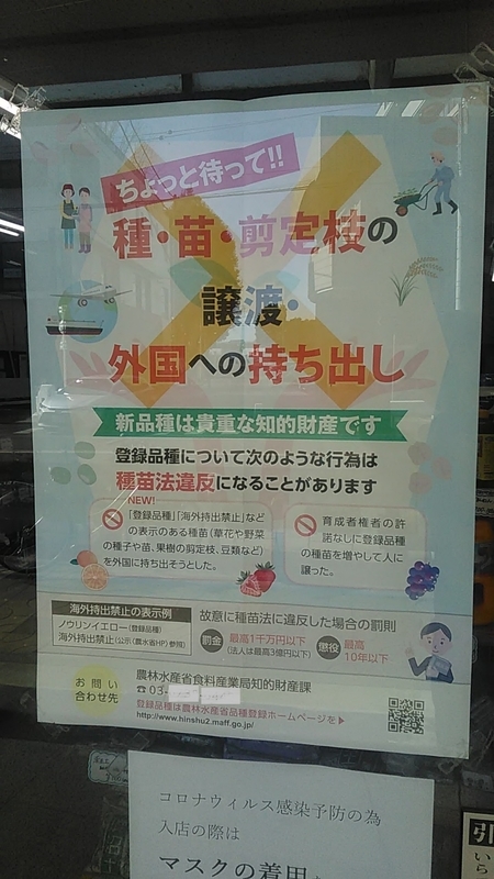 f:id:stantsiya_iriya:20220120180945j:plain