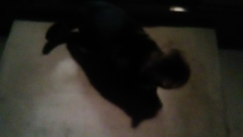 f:id:stantsiya_iriya:20220126161332j:plain