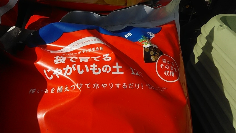 f:id:stantsiya_iriya:20220126161610j:plain