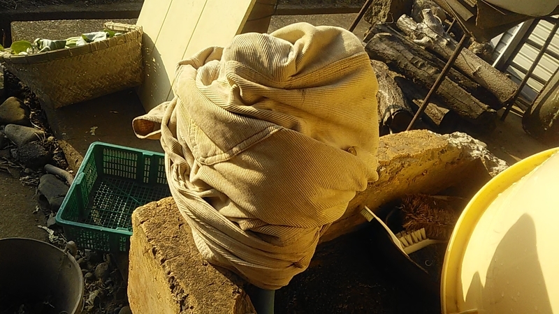 f:id:stantsiya_iriya:20220126161636j:plain