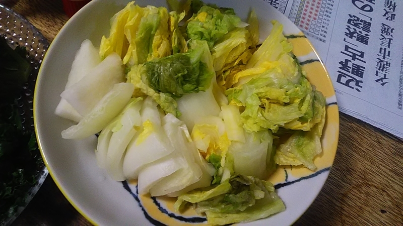 f:id:stantsiya_iriya:20220126161703j:plain