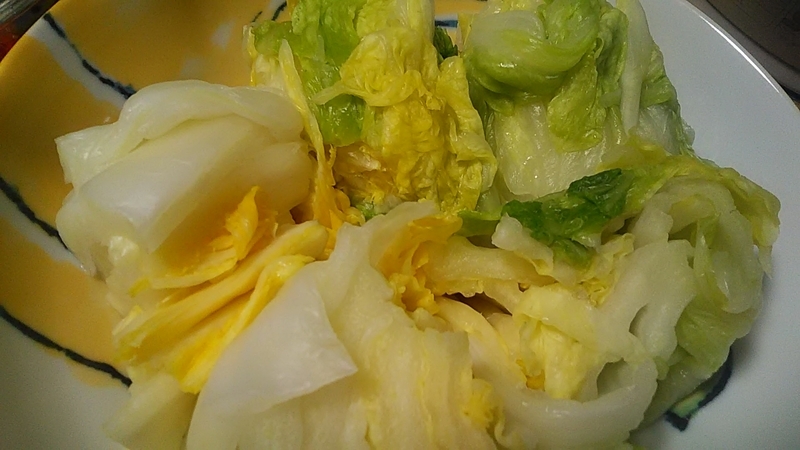 f:id:stantsiya_iriya:20220129094251j:plain