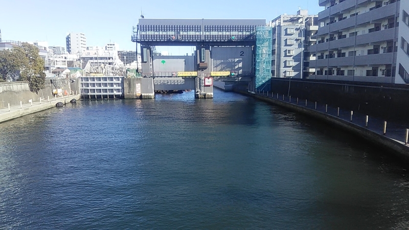 f:id:stantsiya_iriya:20220129182554j:plain