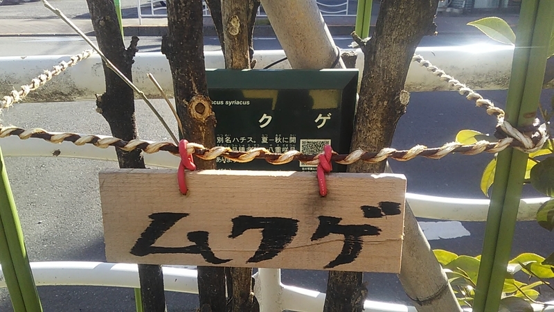 f:id:stantsiya_iriya:20220129193136j:plain