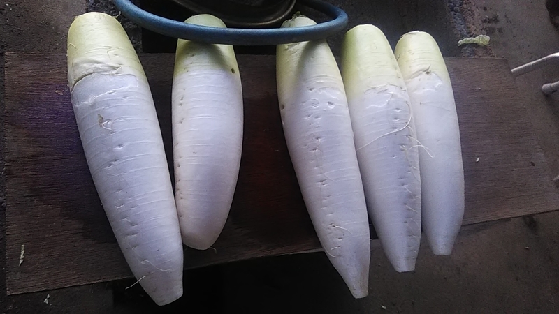 f:id:stantsiya_iriya:20220129195418j:plain