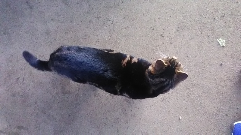 f:id:stantsiya_iriya:20220129195424j:plain