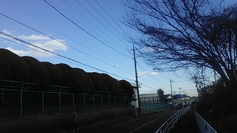 f:id:stantsiya_iriya:20220131173146j:plain