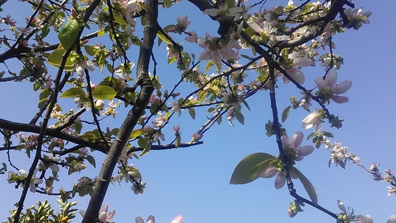 f:id:stantsiya_iriya:20220409202736j:plain