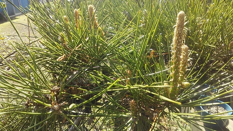 f:id:stantsiya_iriya:20220409202809j:plain