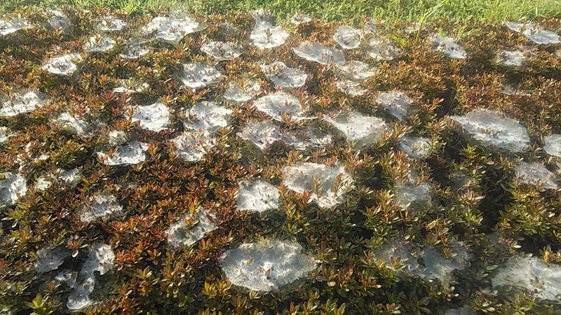 f:id:stantsiya_iriya:20220414112026j:plain